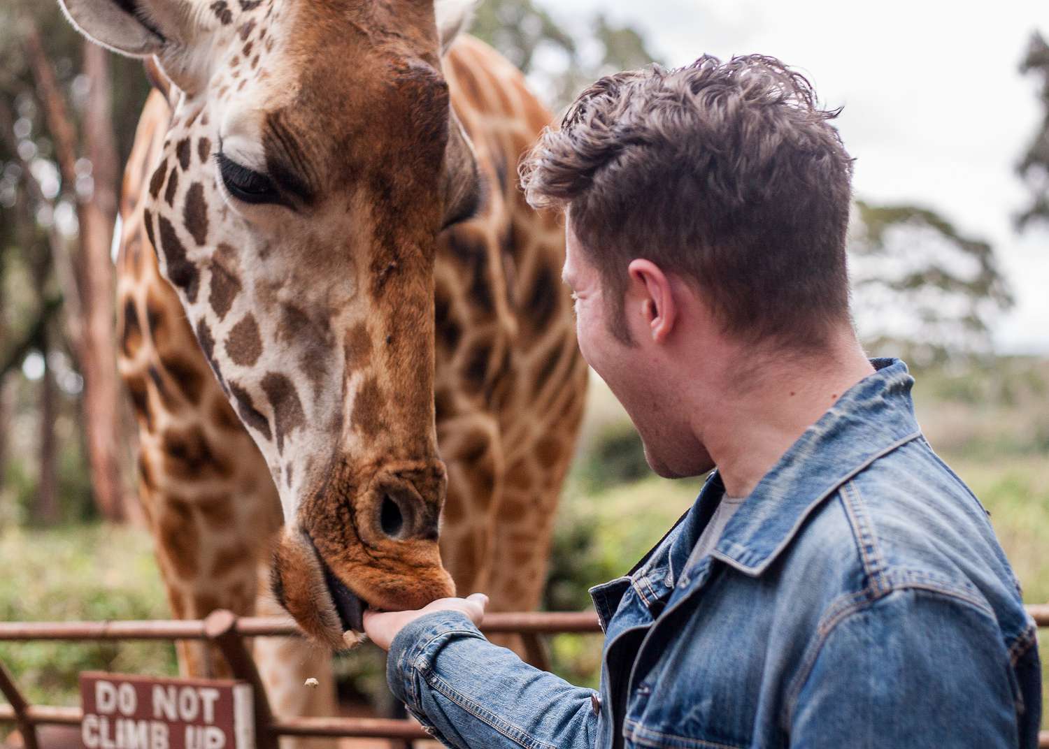 Giraffe Centre