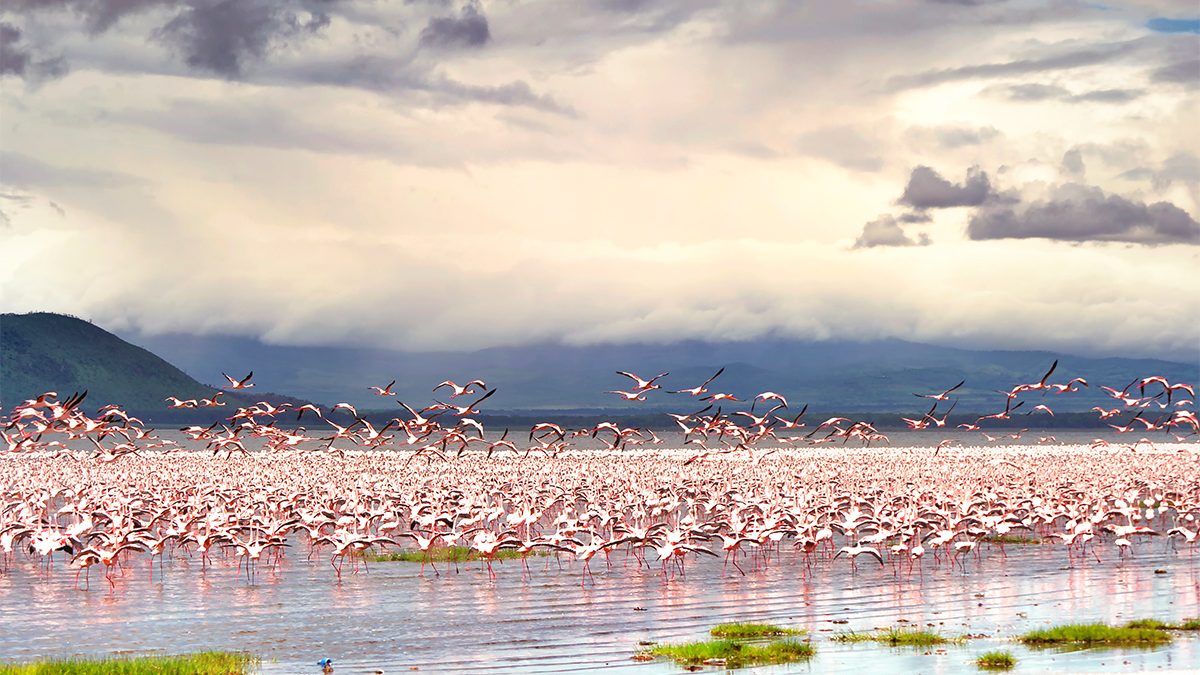 Lake Nakuru & Lord Egerton Castle