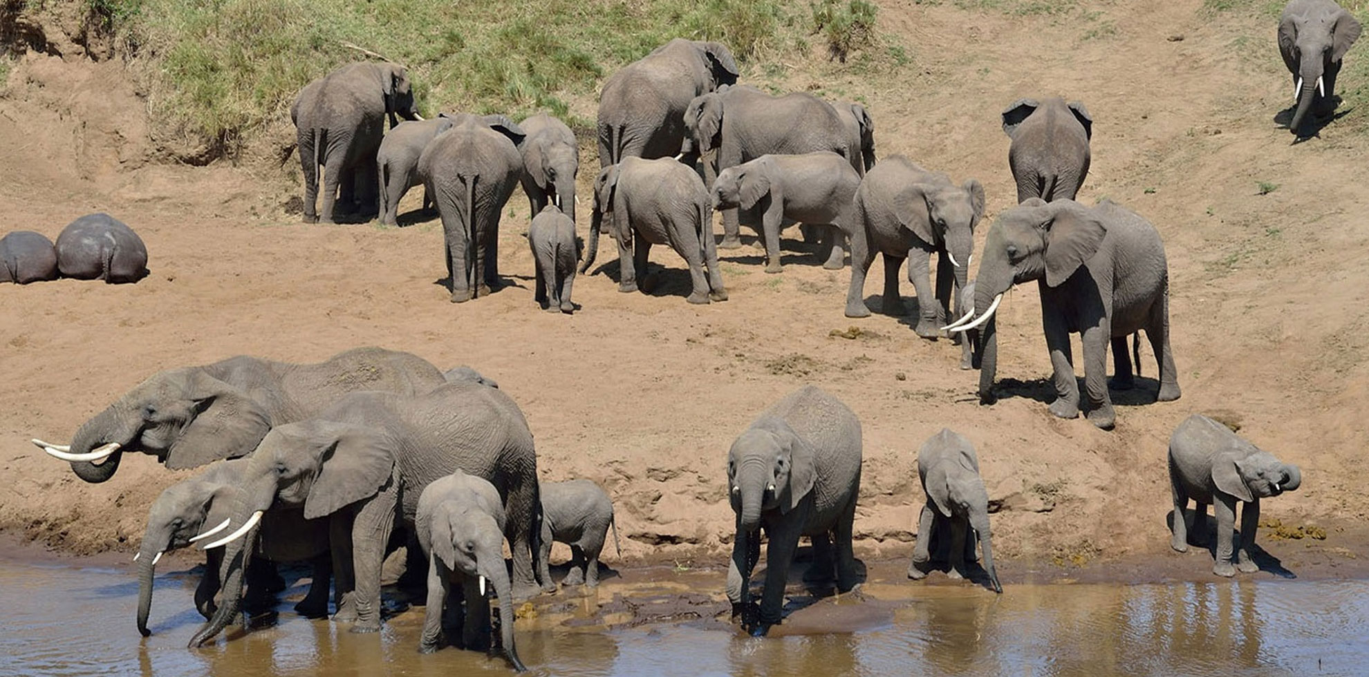 Best of Kenya Adventure Package