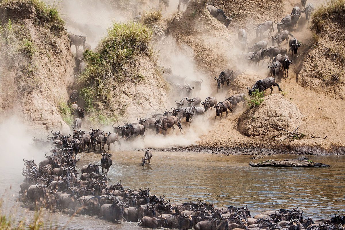The Great Wildebeest Migration Package